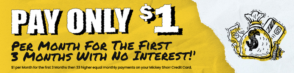 $1 per Month for the first 3 Months then 33 higher equal monthly payments with your Mickey Shorr Credit Card